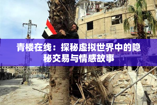 青楼在线：探秘虚拟世界中的隐秘交易与情感故事