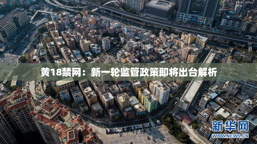 黄18禁网：新一轮监管政策即将出台解析