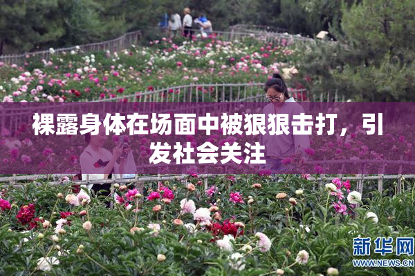 裸露身体在场面中被狠狠击打，引发社会关注