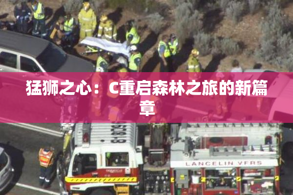猛狮之心：C重启森林之旅的新篇章