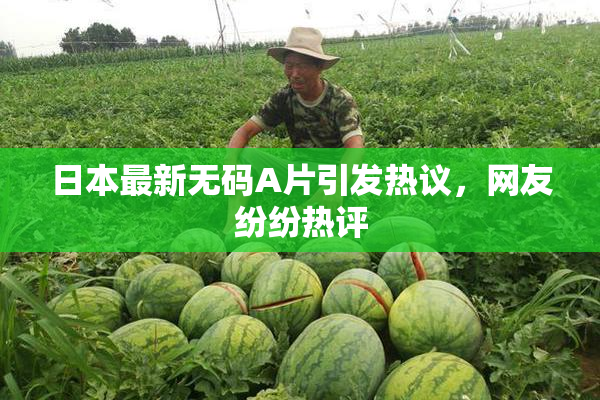 日本最新无码A片引发热议，网友纷纷热评