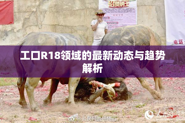 工口R18领域的最新动态与趋势解析