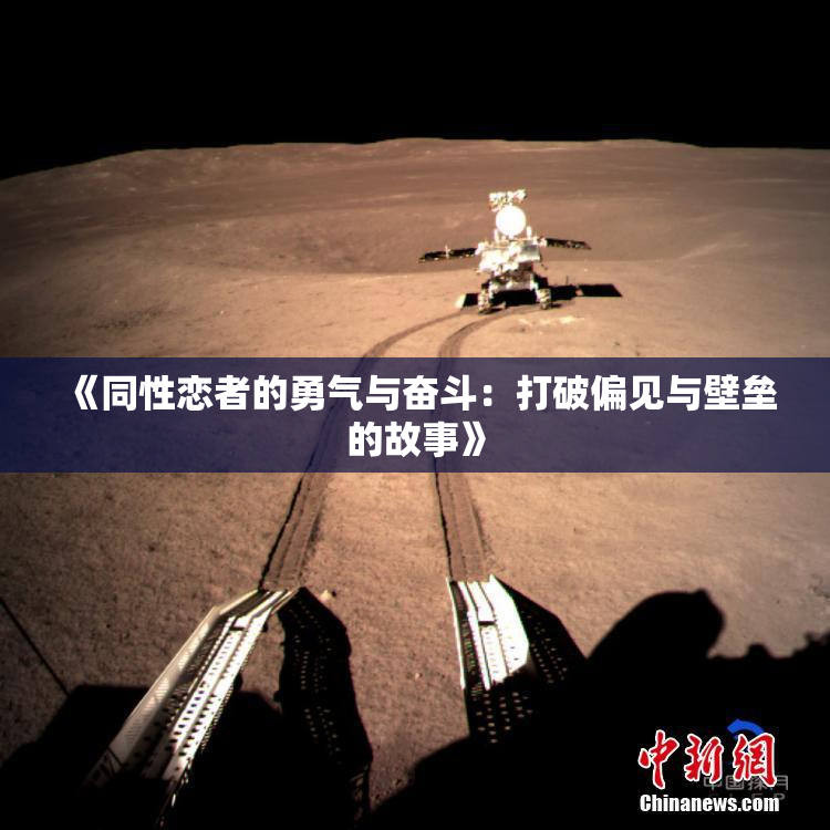 《同性恋者的勇气与奋斗：打破偏见与壁垒的故事》