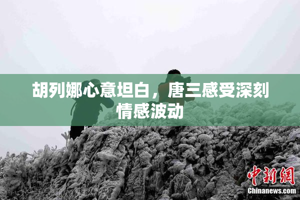 胡列娜心意坦白，唐三感受深刻情感波动