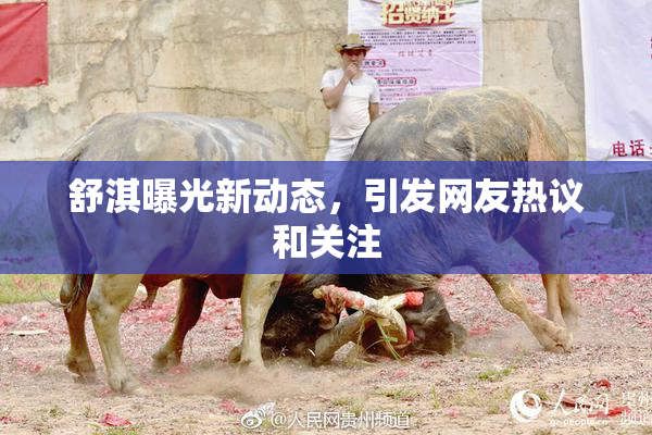 舒淇曝光新动态，引发网友热议和关注