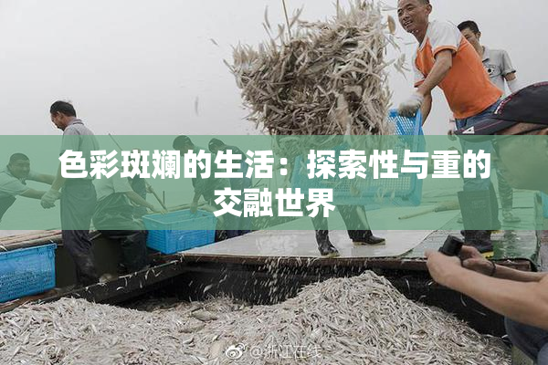 色彩斑斓的生活：探索性与重的交融世界