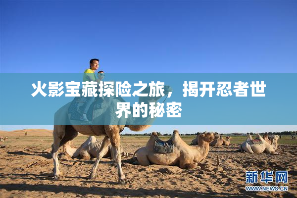 火影宝藏探险之旅，揭开忍者世界的秘密