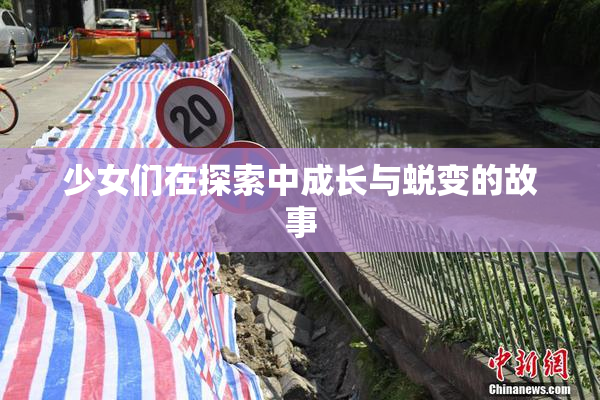 少女们在探索中成长与蜕变的故事