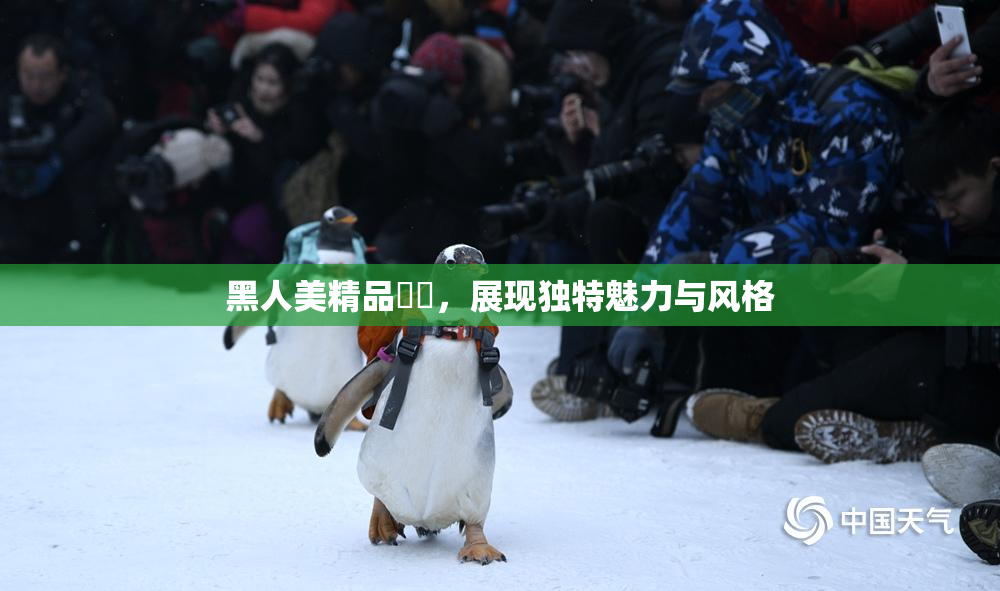 黑人美精品❌‌，展现独特魅力与风格