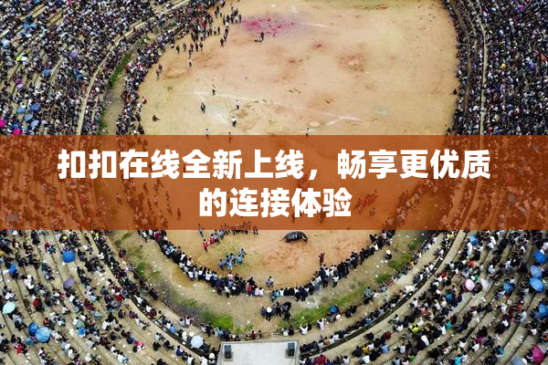 扣扣在线全新上线，畅享更优质的连接体验