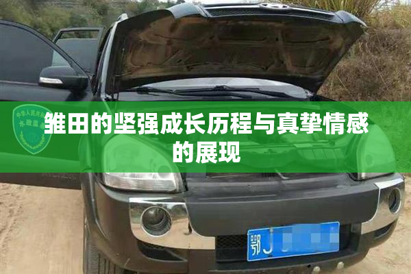 雏田的坚强成长历程与真挚情感的展现