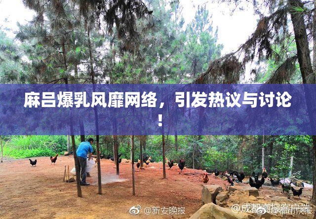 麻吕爆乳风靡网络，引发热议与讨论！