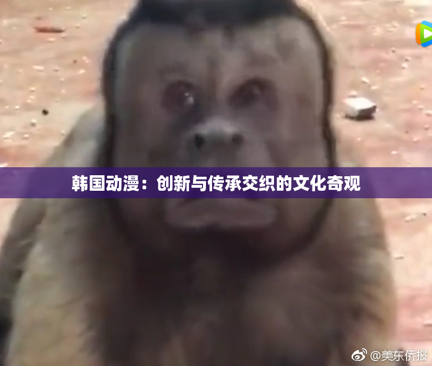 韩国动漫：创新与传承交织的文化奇观