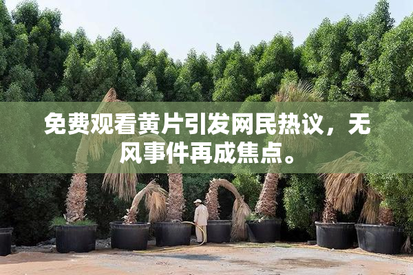 免费观看黄片引发网民热议，无风事件再成焦点。