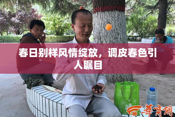 春日别样风情绽放，调皮春色引人瞩目