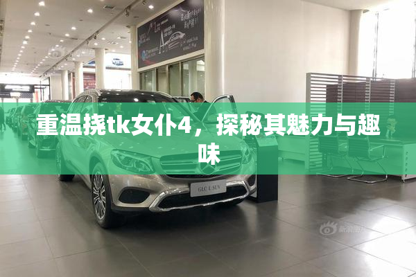 重温挠tk女仆4，探秘其魅力与趣味