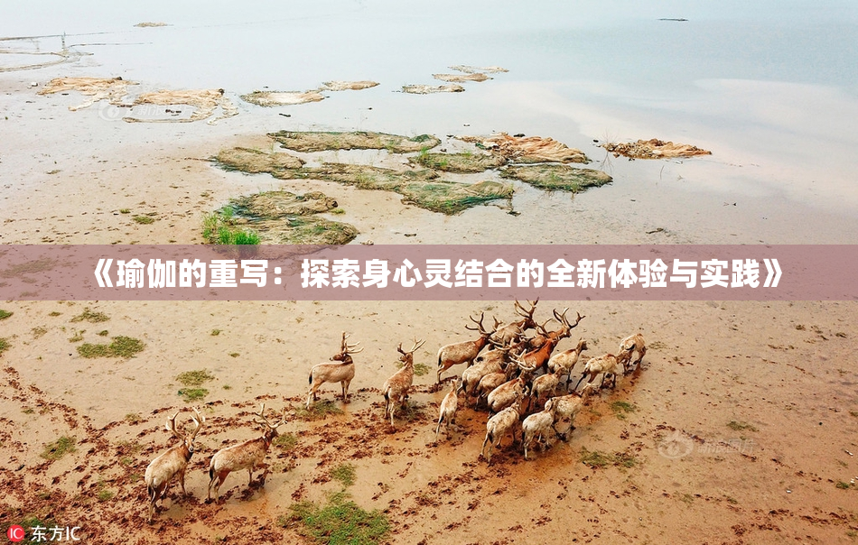 《瑜伽的重写：探索身心灵结合的全新体验与实践》
