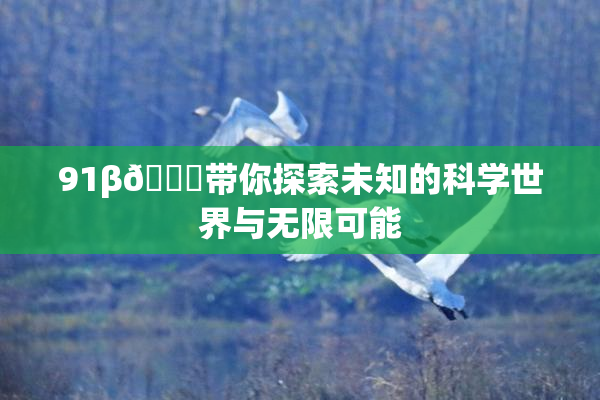 91β🍆带你探索未知的科学世界与无限可能