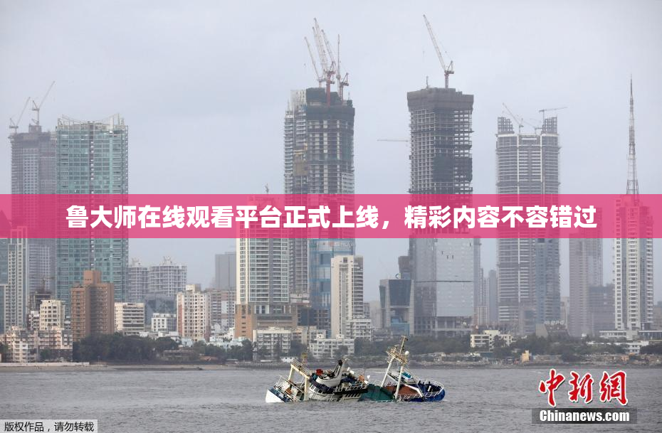鲁大师在线观看平台正式上线，精彩内容不容错过