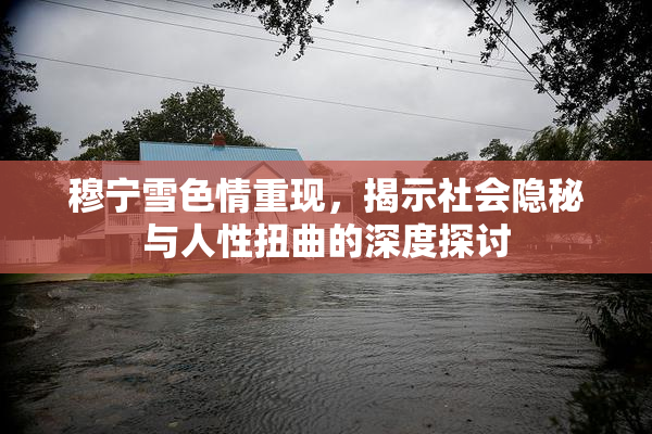 穆宁雪色情重现，揭示社会隐秘与人性扭曲的深度探讨