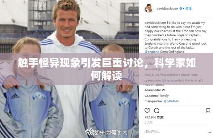 触手怪异现象引发巨重讨论，科学家如何解读
