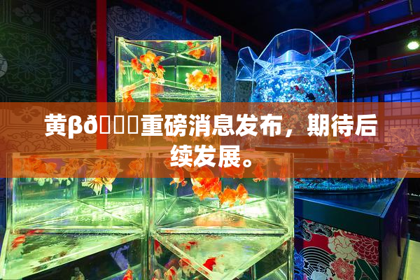 黄β🔞重磅消息发布，期待后续发展。