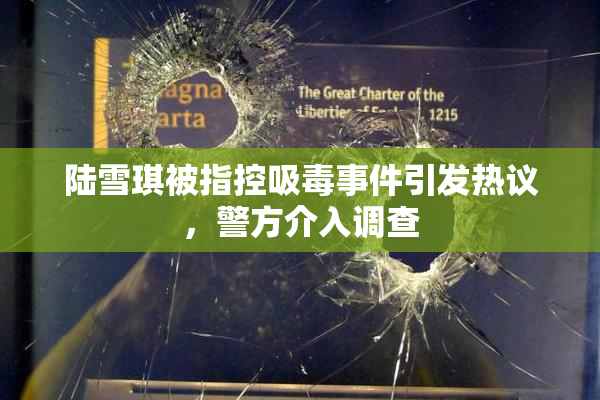 陆雪琪被指控吸毒事件引发热议，警方介入调查