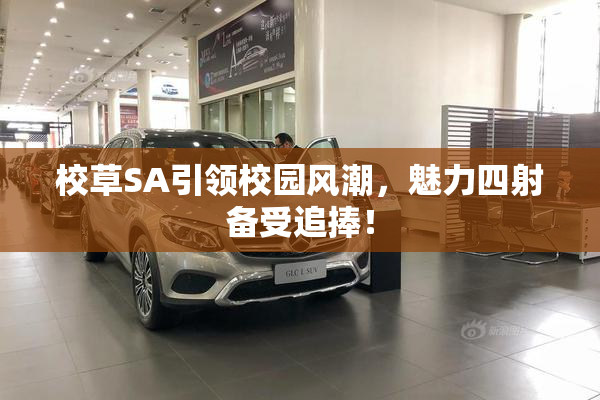 校草SA引领校园风潮，魅力四射备受追捧！