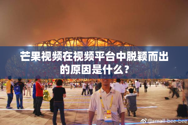 芒果视频在视频平台中脱颖而出的原因是什么？