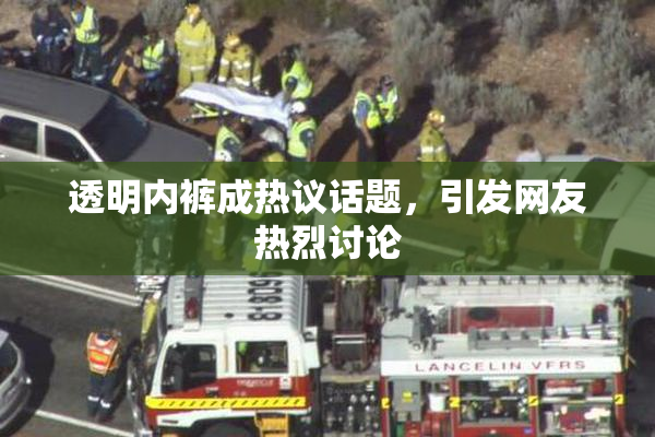 透明内裤成热议话题，引发网友热烈讨论