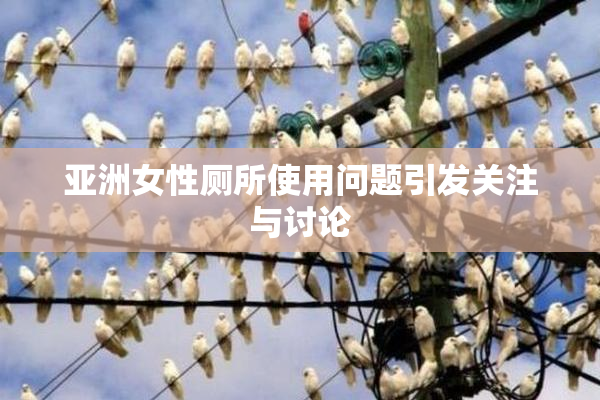 亚洲女性厕所使用问题引发关注与讨论