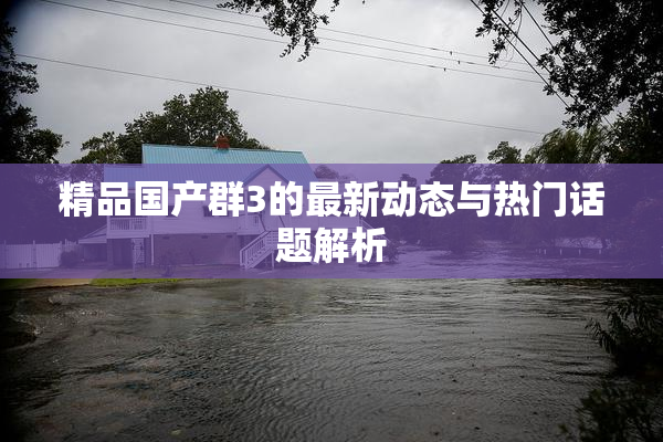 精品国产群3的最新动态与热门话题解析
