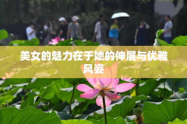 美女的魅力在于她的伸展与优雅风姿