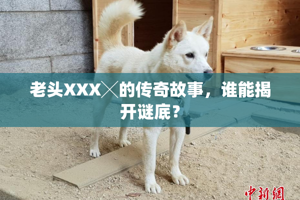 老头XXX╳的传奇故事，谁能揭开谜底？