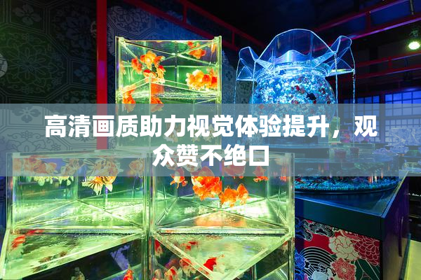 高清画质助力视觉体验提升，观众赞不绝口