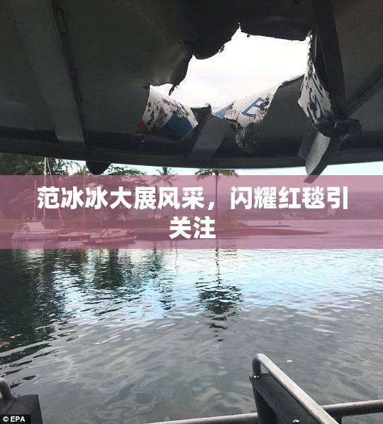 范冰冰大展风采，闪耀红毯引关注