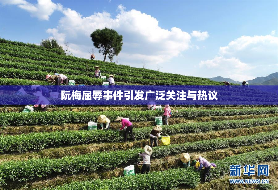 阮梅屈辱事件引发广泛关注与热议