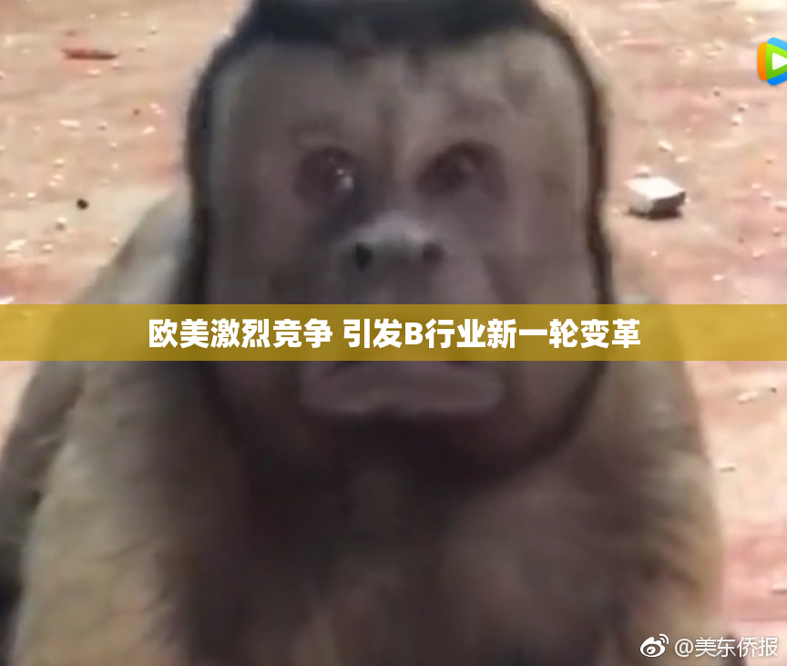 欧美激烈竞争 引发B行业新一轮变革