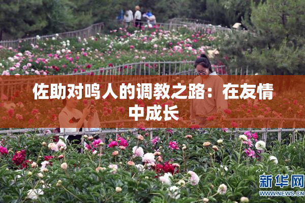 佐助对鸣人的调教之路：在友情中成长