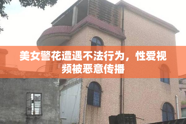美女警花遭遇不法行为，性爱视频被恶意传播