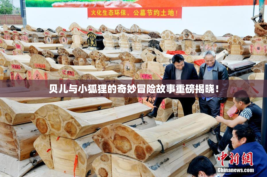 贝儿与小狐狸的奇妙冒险故事重磅揭晓！