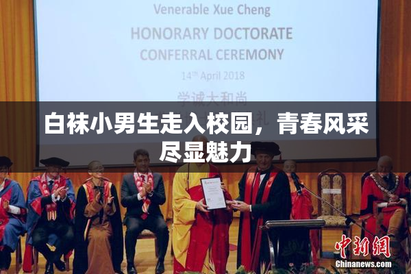 白袜小男生走入校园，青春风采尽显魅力