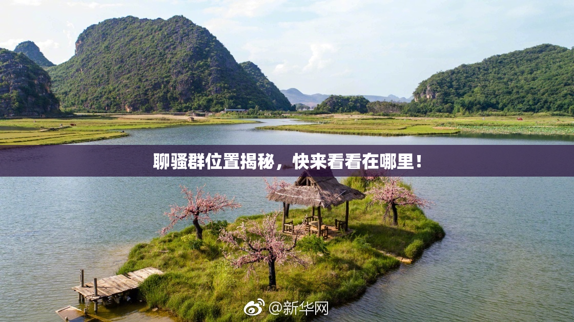 聊骚群位置揭秘，快来看看在哪里！