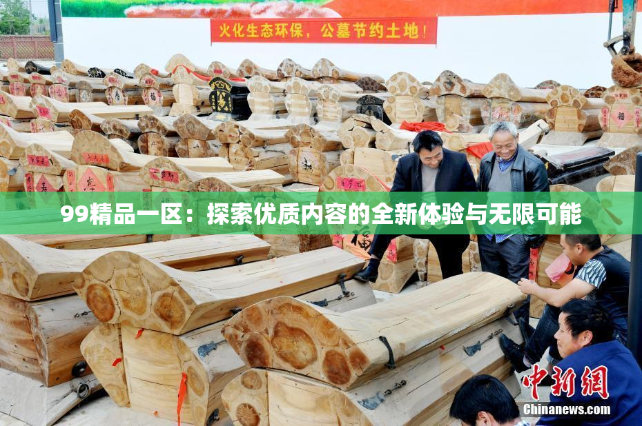 99精品一区：探索优质内容的全新体验与无限可能