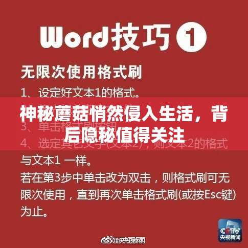 神秘蘑菇悄然侵入生活，背后隐秘值得关注