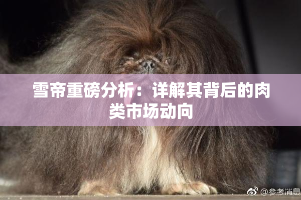 雪帝重磅分析：详解其背后的肉类市场动向