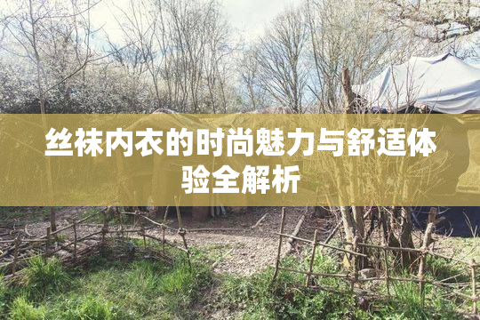 丝袜内衣的时尚魅力与舒适体验全解析