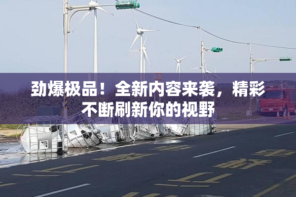 劲爆极品！全新内容来袭，精彩不断刷新你的视野