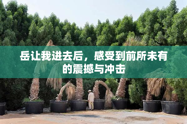岳让我进去后，感受到前所未有的震撼与冲击