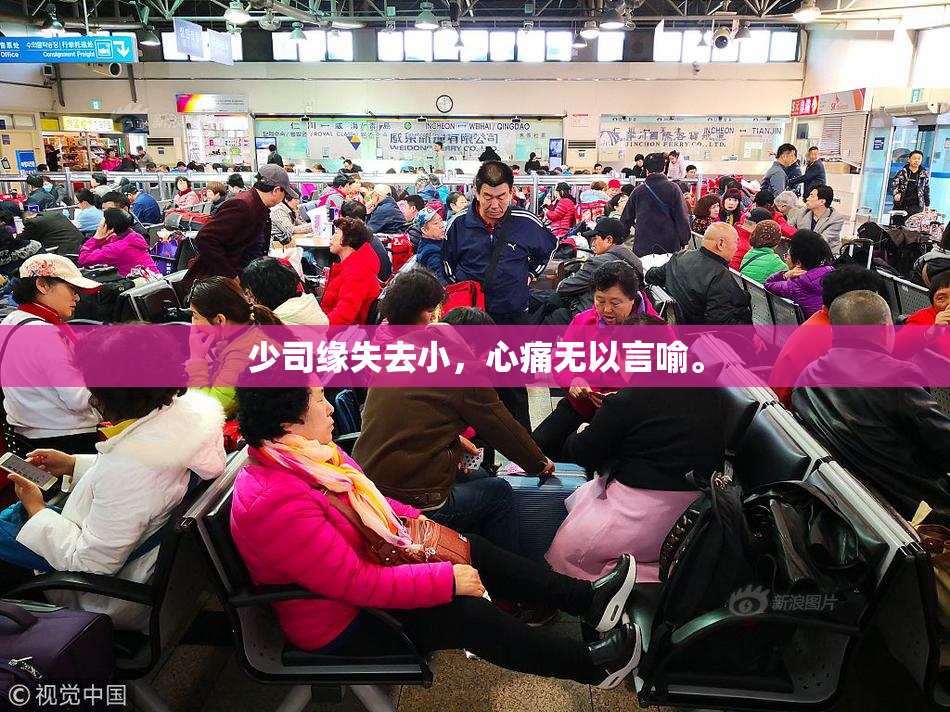 少司缘失去小，心痛无以言喻。